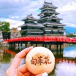 From Tokyo or Nagano: Private Snow Monkey Park Full day trip - Practical Details and What to Expect