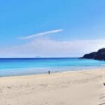 From Tokyo: Private Day Trip to Izu & Shimoda, Shizuoka - The Value of a Private Guided Day Trip