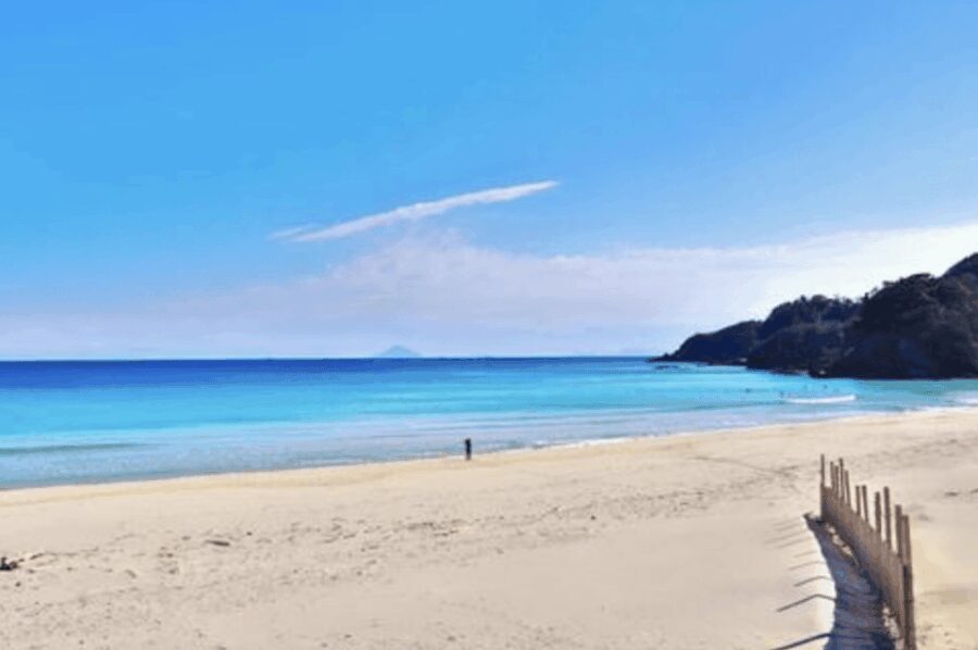 From Tokyo: Private Day Trip to Izu & Shimoda, Shizuoka - The Value of a Private Guided Day Trip