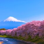 From Tokyo: Private Day Trip to Mount Fuji & Fuji Five lakes - The Practicalities: What’s Included & What to Know