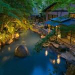 From Tokyo: Private Tour to Fuji/Hakone - Onsen, Art, Nature - The Value of This Tour