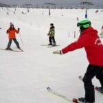 From Tokyo Skiing Day Tour: Niigata Iwappara Ski Resort - An In-Depth Look at the Tour Experience