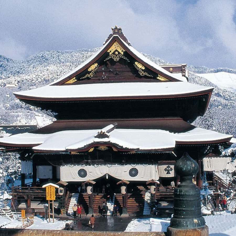 From Tokyo: Snow Monkey & Zenkoji Temple Tour with Guide - The Practicalities: What You Need to Know