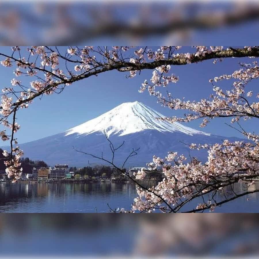 From Tokyo to the Clouds:A Private customize Mount Fuji Tour - Transport and Overall Experience