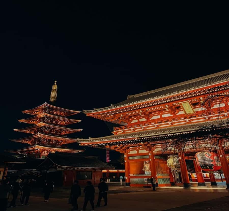 From Tokyo: Tokyo Private Tour with Temples & Towers - Why This Tour Works Well