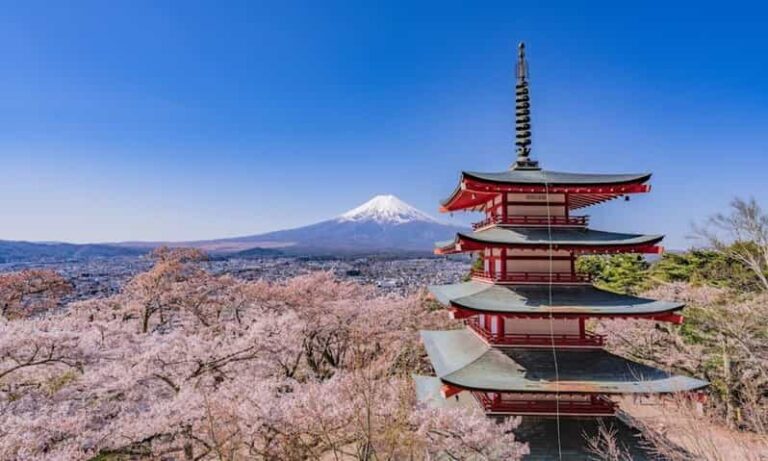 From Tokyo:Mt.Fuji &Hakone Trip with English Speaking guide - Optional Extras: Tailoring Your Experience