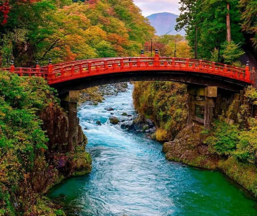 From Tokyo:Nikko World Heritage Customizable Tour with Guide - Why Choose This Tour?
