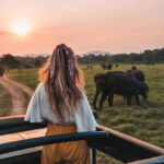From Trincomalee : Minneriya / Kaudulla Elephant Safari - Authentic Insights from Other Travelers