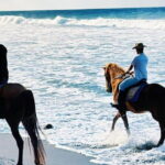From Ubud 1 Hour Horse Riding at The Beach Experiences - Who Would Love This Tour?