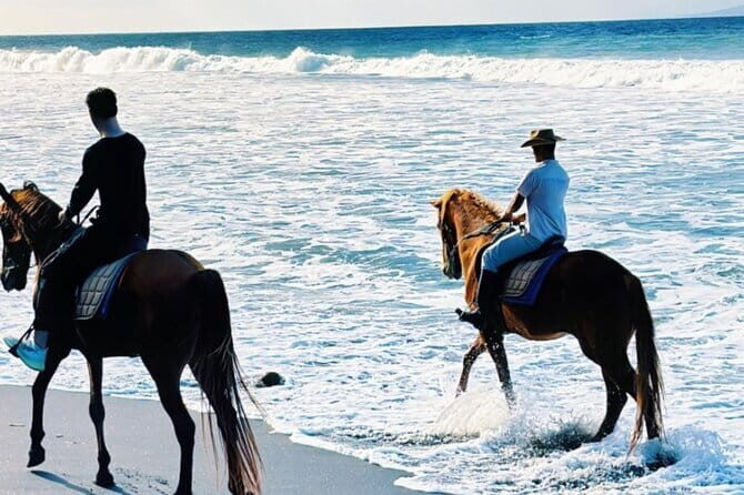 From Ubud 1 Hour Horse Riding at The Beach Experiences - Who Would Love This Tour?