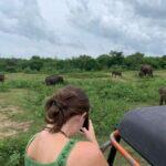 From Unawatuna: Udawalawe National Park Safari with transfer - Why This Tour Works — The Bottom Line