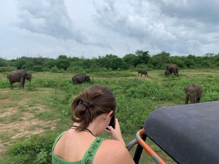 From Unawatuna: Udawalawe National Park Safari with transfer - Why This Tour Works — The Bottom Line