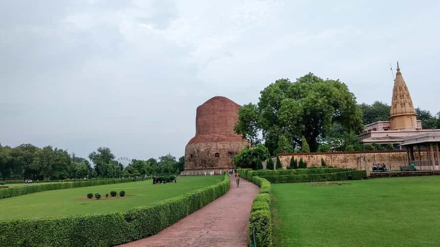 From Varanasi: Sarnath Private Tour w/Ashoka Pillar & Relics - Who Is This Tour Best For?