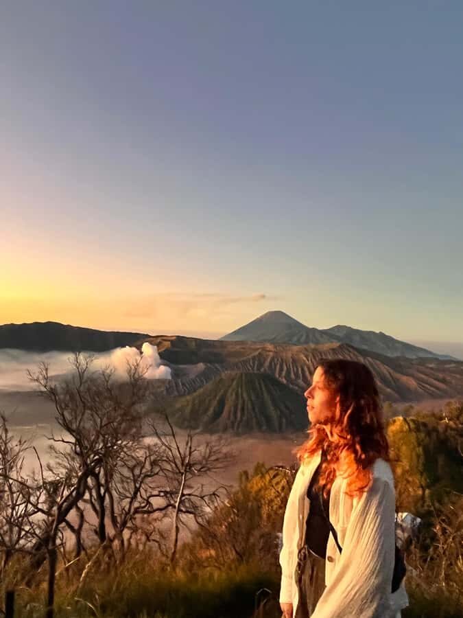 From Yogyakarta : Hiking Mount Bromo 2 day share - Transportation & Group Size