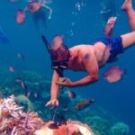 From Yogyakarta: Private 3-Day Karimunjawa Island Tour - Underwater Wonders and Snorkeling Highlights