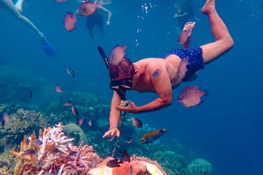 From Yogyakarta: Private 3-Day Karimunjawa Island Tour - Underwater Wonders and Snorkeling Highlights