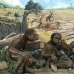 From Yogyakarta: Sangiran Museum and Early Man Site Tour - What Travelers Love About This Tour