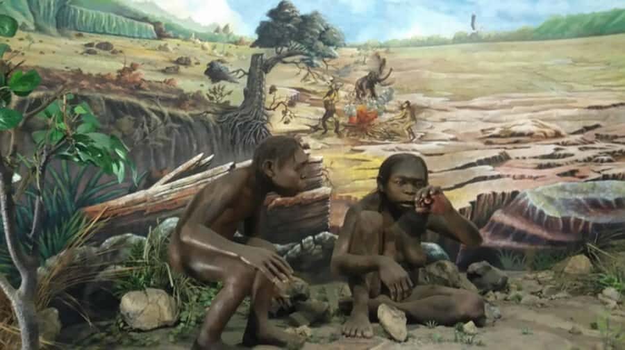 From Yogyakarta: Sangiran Museum and Early Man Site Tour - What Travelers Love About This Tour