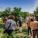 Fruit Picking & Nature Tour Yarra Valley & Warburton - FAQ
