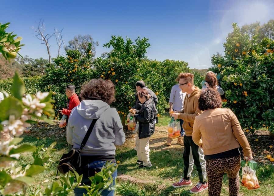 Fruit Picking & Nature Tour Yarra Valley & Warburton - FAQ