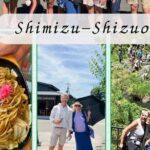 Fuji Area Cultural Highlights Day Tour from Shimizu Port by Car - Who Would Enjoy This Tour?