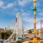 Fuji-Q Highland Amusement Park: 1 Day private tour by Car - What You Can Expect from the Tour