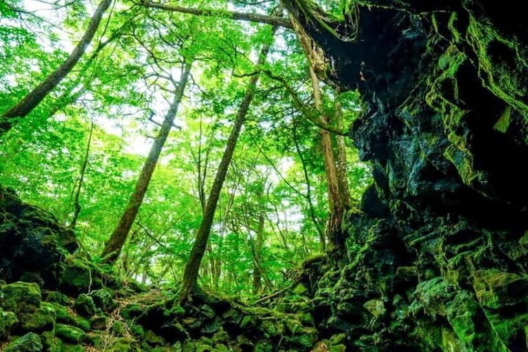 Fuji Spiritual Private Tour with Lunch and Dinner - Exploring the Itinerary: What to Expect on This Private Day Trip