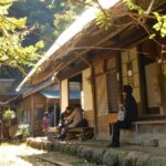 Fujieda: Suisha-mura Traditional Japanese Cooking Experience - Practical Details and Considerations