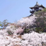 Fukui: Maruoka Castle Admission Ticket - Cherry Blossoms and Seasonal Appeal