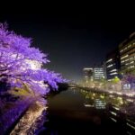 Fukuoka: Dazaifu Shrine, Ohori Park, and Castle Tour - Final Thoughts