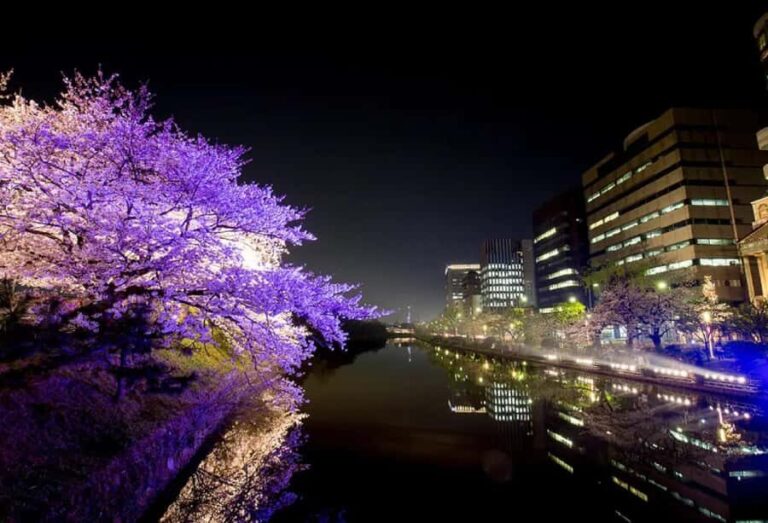 Fukuoka: Dazaifu Shrine, Ohori Park, and Castle Tour - Final Thoughts