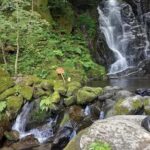 Fukuoka: Itoshima Adventure & Wellness Private Day Trip - Exploring the Itinerary: What You Can Expect