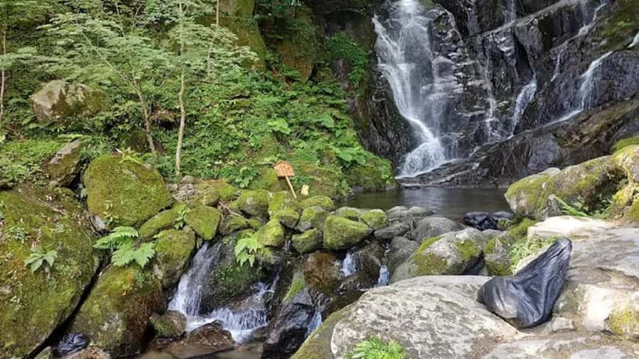 Fukuoka: Itoshima Adventure & Wellness Private Day Trip - Exploring the Itinerary: What You Can Expect