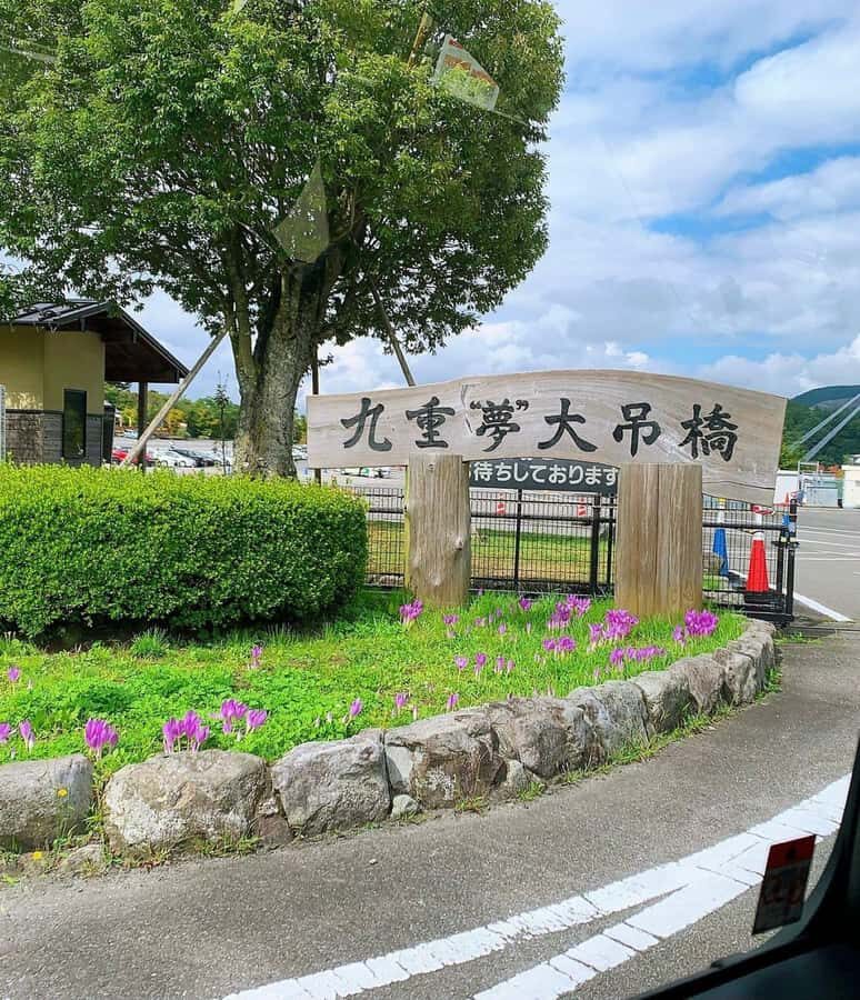 Fukuoka: Kokonoe Sky Bridge & Waterfalls Day Trip - Final Thoughts