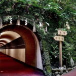 Fukuoka: Nanzoin Temple & Reclining Buddha Guided Tour - Final Thoughts