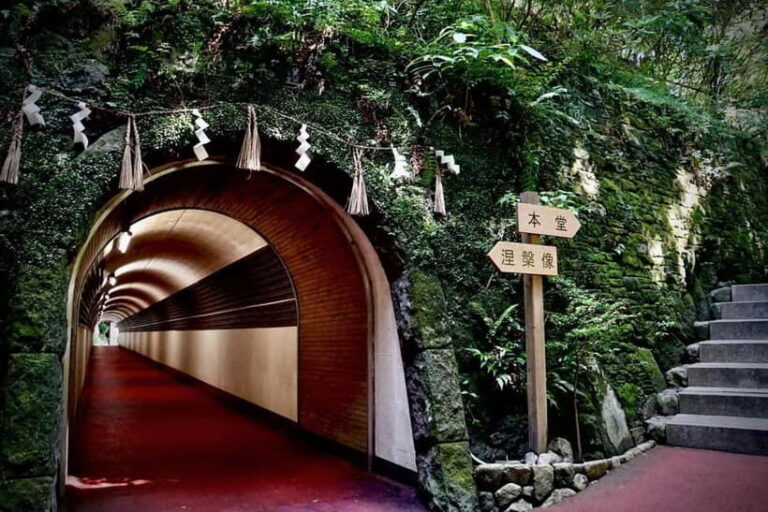 Fukuoka: Nanzoin Temple & Reclining Buddha Guided Tour - Final Thoughts