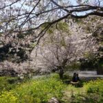 Fukuoka: Nokonoshima Island Guided Walking Tour - What Makes This Tour Stand Out?
