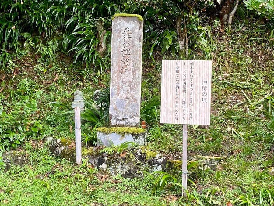 Fukuoka: Nyoirinji Frog Temple & Tea Escape - Exploring the Tour in Detail