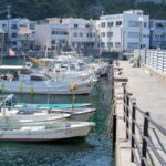 Fukuoka: Private Fishing Tour with Captain and Gear - Who Is This Tour Best For?