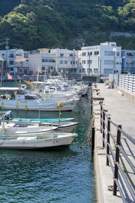 Fukuoka: Private Fishing Tour with Captain and Gear - Who Is This Tour Best For?