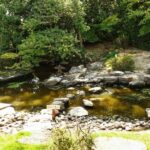 Fukuoka Shore Excursion:Sacred Island of Munakata & Heritage - Discovering the Sites: A Full Breakdown