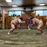 Fukuoka Sumo Morning Practice Watching Tour - Who Should Consider This Tour?