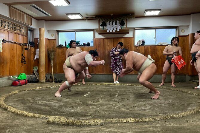 Fukuoka Sumo Morning Practice Watching Tour - Who Should Consider This Tour?
