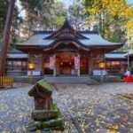 Fukuoka: Takachiho Gorge and Shrine Private Day Trip - Deep Dive into the Itinerary