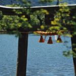 Fukuoka:Frog Temple, Beppu Hell Springs Tickets Incl &Yufuin - Why This Tour Offers Great Value