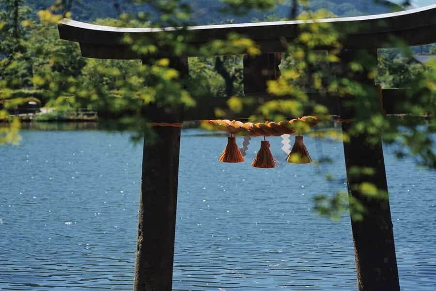 Fukuoka:Frog Temple, Beppu Hell Springs Tickets Incl &Yufuin - Why This Tour Offers Great Value