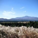 Full Day 12 hours whole Jeju Island private flexible tour - The Sum Up: Who Is This Tour Best For?