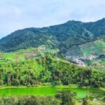 Full-Day Adventure: Tea Plantation & the Mystical Dieng Plateau - Whats Included and What’s Not