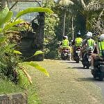 Full Day Bali Scooter Tour - Why This Tour Is Worth Considering