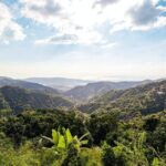 Full Day Blue Mountains Tour including Lunch - Who Is This Tour Best For?